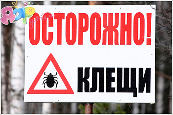 Первая помощь при укусе клеща